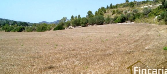 Grundstück in Manacor, Spain, Nr. 176867 11