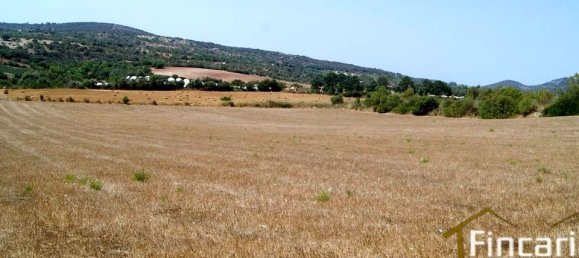 Grundstück in Manacor, Spain, Nr. 176867 12