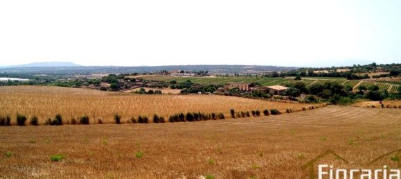 Grundstück in Manacor, Spain, Nr. 176867 15