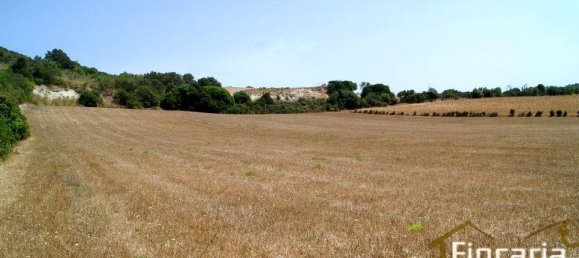 Grundstück in Manacor, Spain, Nr. 176867 22