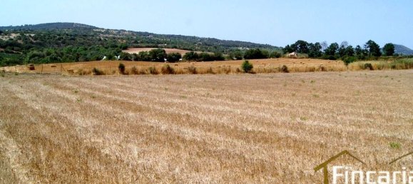 Grundstück in Manacor, Spain, Nr. 176867 10