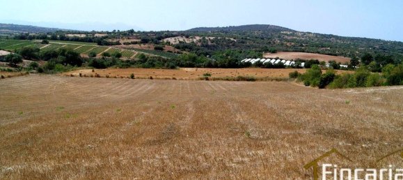 Grundstück in Manacor, Spain, Nr. 176867 16