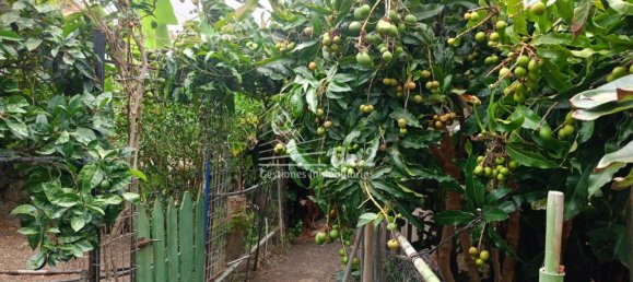 3 غرف نوم منزل في Telde, Spain رقم 140712 3