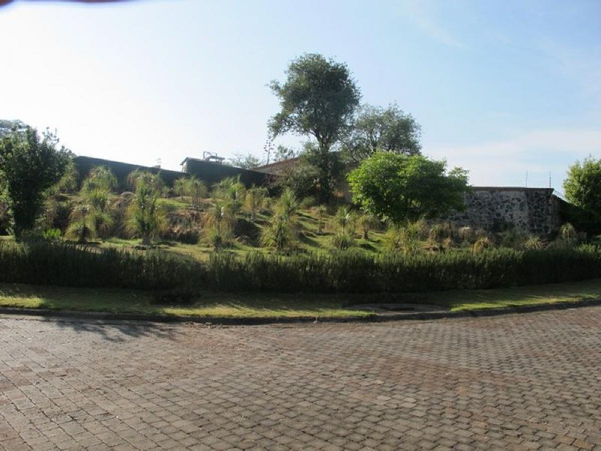  Land in Lerma, Mexico No. 204298