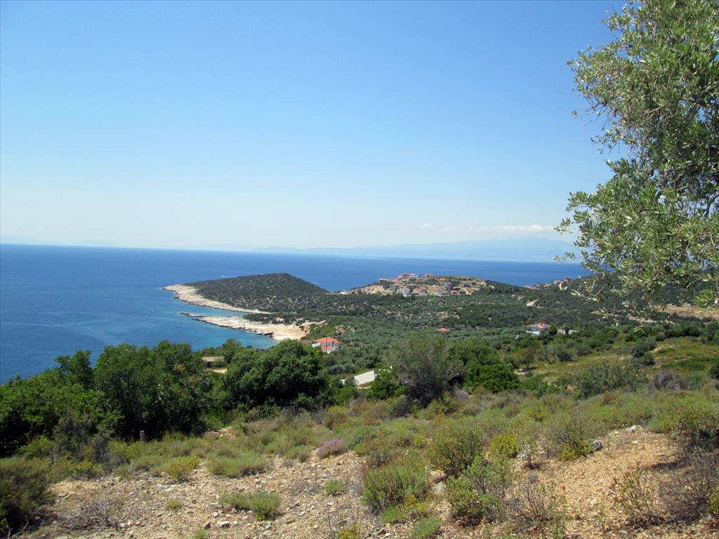 12912m² Hotel in Thasos, Greece No. 7717