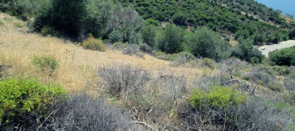 12912m² Hotel in Thasos, Greece No. 7717 7