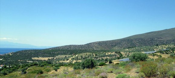 12912m² Hotel in Thasos, Greece No. 7717 3