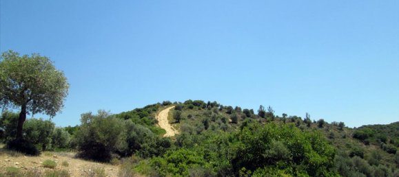 12912m² Hotel in Thasos, Greece No. 7717 5