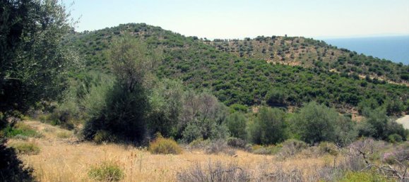 12912m² Hotel in Thasos, Greece No. 7717 6