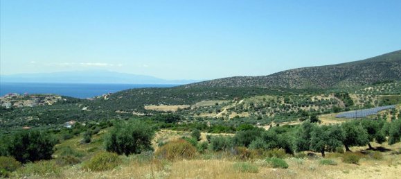 12912m² Hotel in Thasos, Greece No. 7717 9