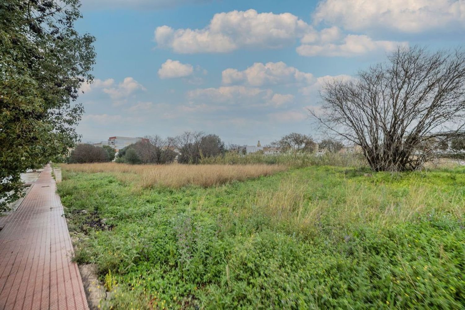 Grundstück in Alicante, Spain 429m², Nr. 91733