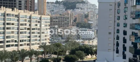 1 Schlafzimmer Wohnung in Alicante, Spain, Nr. 134117 20