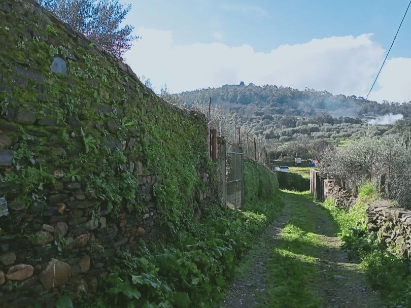 Terrain à Caceres, Spain 226m² No. 253122