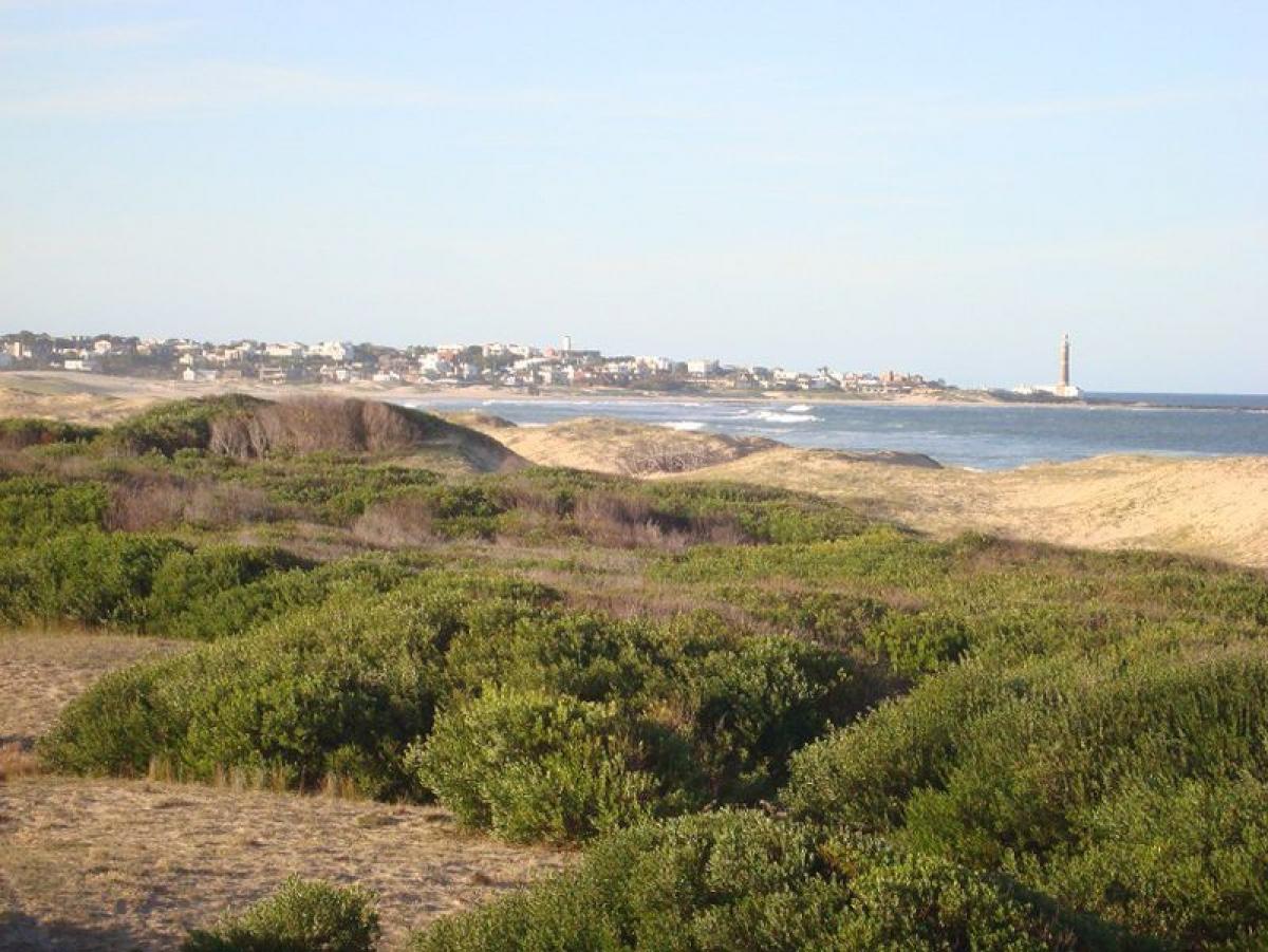 Земельный участок в Мальдонадо, Уругвай № 16061