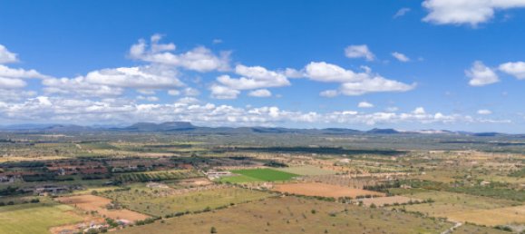 4 bedrooms House in Campos, Spain No. 187526 25