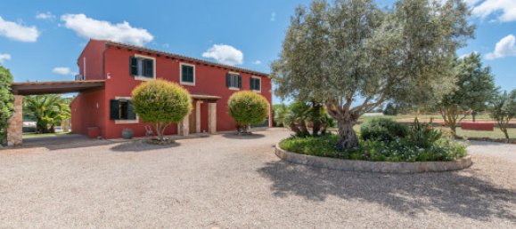 4 bedrooms House in Campos, Spain No. 187526 21