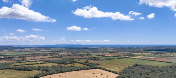 4 bedrooms House in Campos, Spain No. 187526 24