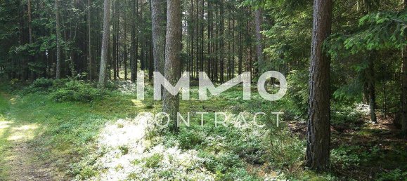 2 rooms House in Heidenreichstein, Austria No. 199464 4