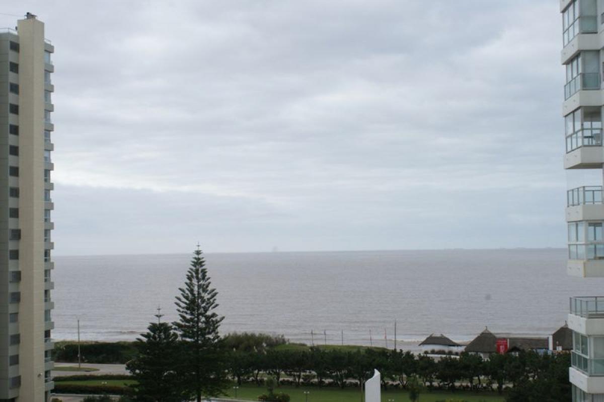 استوديو في Maldonado, Uruguay رقم 4983