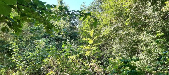 Grundstück in Arzberg, Germany, Nr. 68144 8