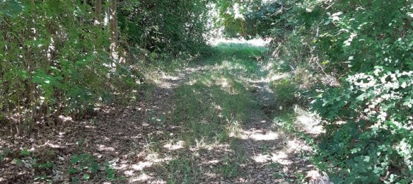 Grundstück in Arzberg, Germany, Nr. 68144 2