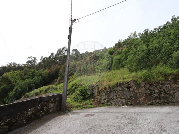 5880m² Land in Viana do Castelo, Portugal No. 47023