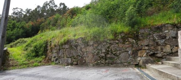 5880m² Land in Viana do Castelo, Portugal No. 47023 2