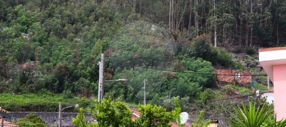 5880m² Land in Viana do Castelo, Portugal No. 47023 7