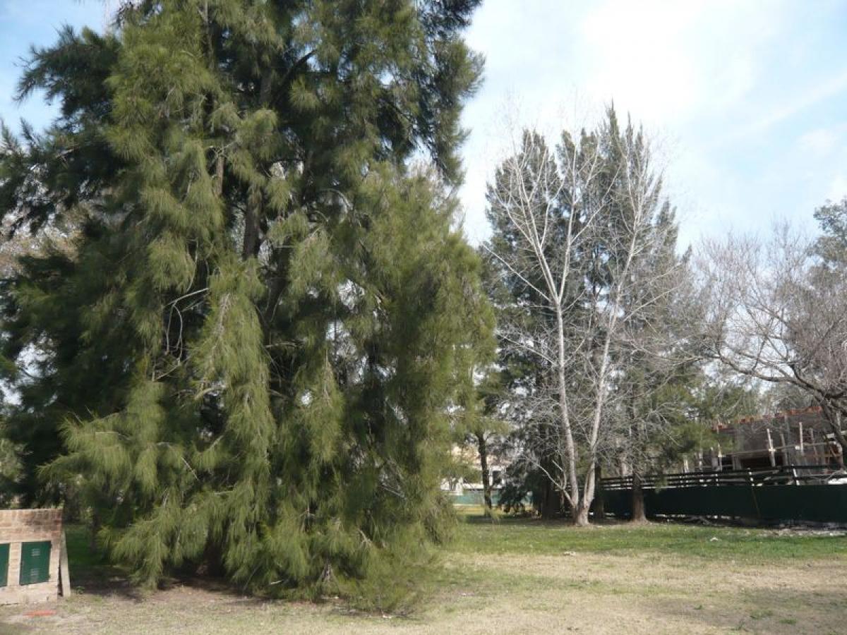 Земельный участок в Эстебан Эчеверрия, Аргентина № 37384