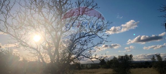 Casa T2 em Chamusca, Portugal N.º 184935 7