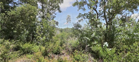 48322m² Land in Sintra, Portugal No. 91637 3