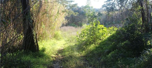 48322m² Land in Sintra, Portugal No. 91637 2