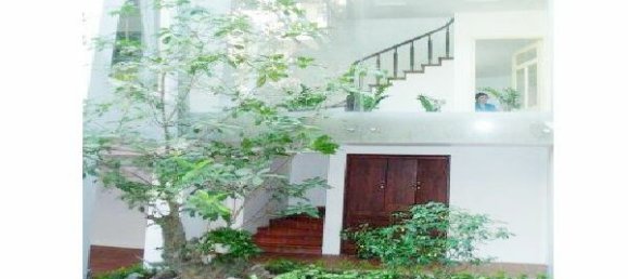 Вилла с 5 спальнями в Тэйхо, Вьетнам № 5111 10