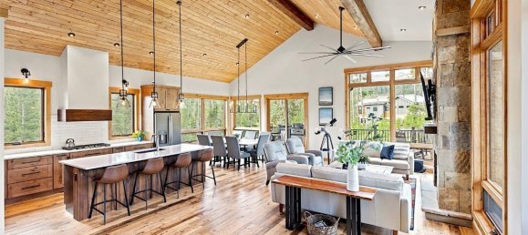 5 غرف نوم عقار تجاري في Breckenridge, USA رقم 224 4