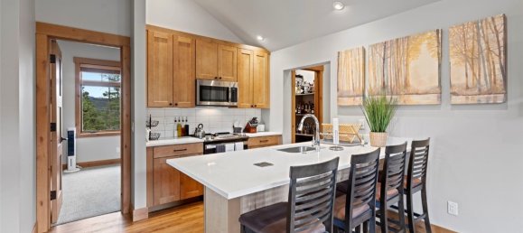 5 غرف نوم عقار تجاري في Breckenridge, USA رقم 224 30