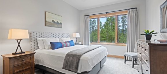 5 غرف نوم عقار تجاري في Breckenridge, USA رقم 224 28