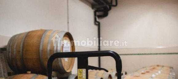 2000m² Land in Diano d'Alba, Italy No. 272595 11