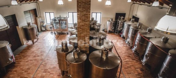 2000m² Land in Diano d'Alba, Italy No. 272595 13