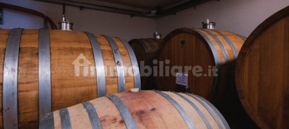 2000m² Land in Diano d'Alba, Italy No. 272595 5