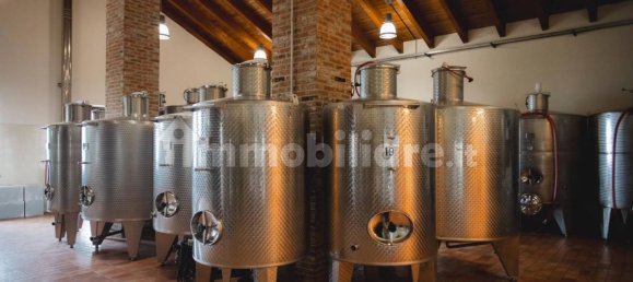 2000m² Land in Diano d'Alba, Italy No. 272595 8