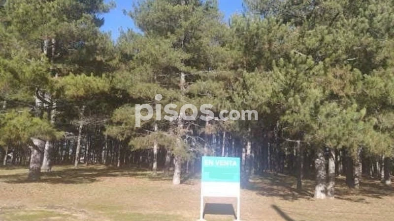 Grundstück in El Vendrell, Spain, Nr. 171101