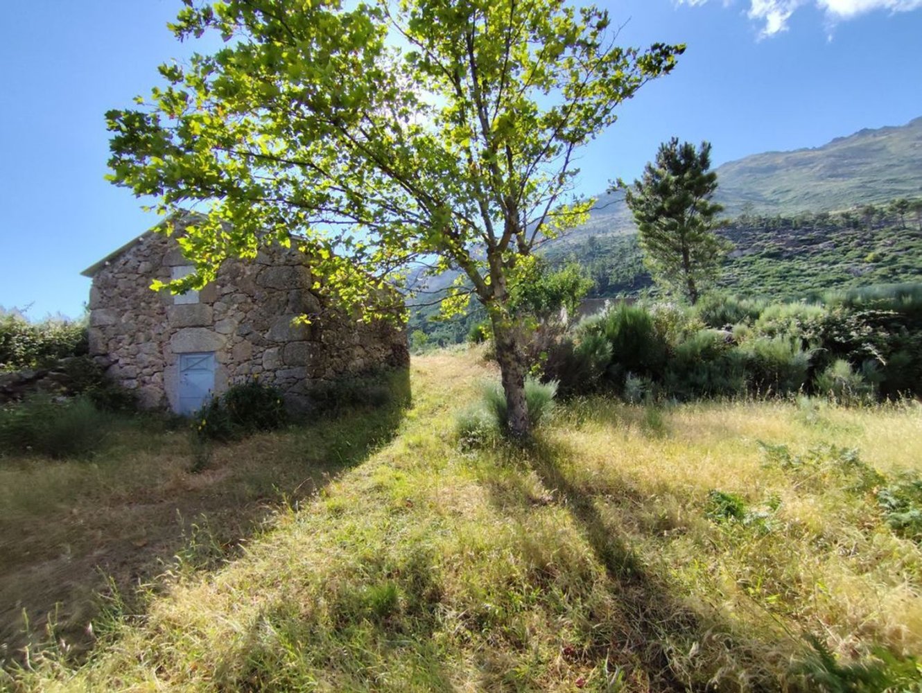 Дом с 1 спальней в Кортеш ду Мейю, Португалия № 82895