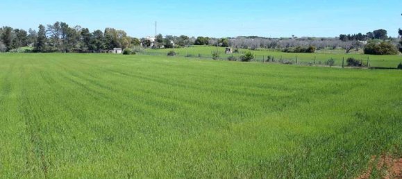 Земельный участок 15000м² в Tricase, Италия № 122520 2