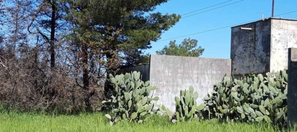 Земельный участок 15000м² в Tricase, Италия № 122520 8