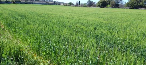 Земельный участок 15000м² в Tricase, Италия № 122520 18