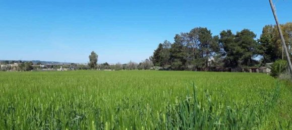 Земельный участок 15000м² в Tricase, Италия № 122520 16