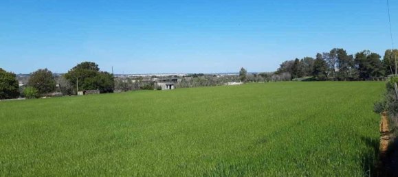 Земельный участок 15000м² в Tricase, Италия № 122520 5