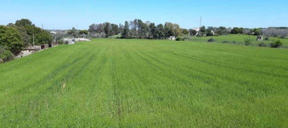 Земельный участок 15000м² в Tricase, Италия № 122520 4