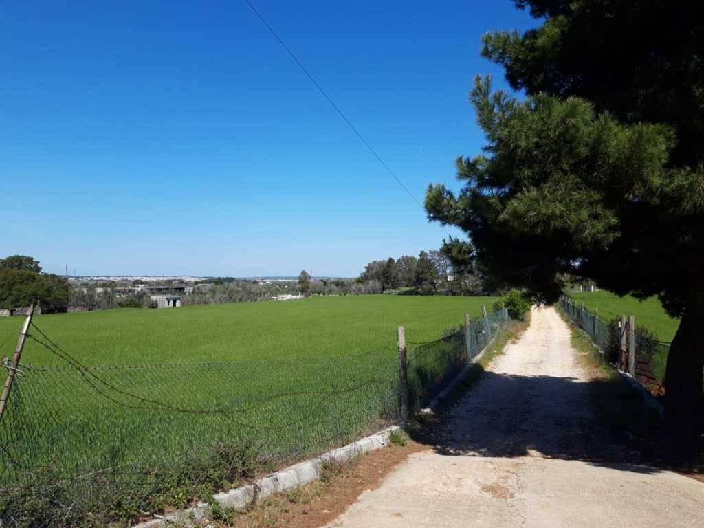 Земельный участок 15000м² в Tricase, Италия № 122520