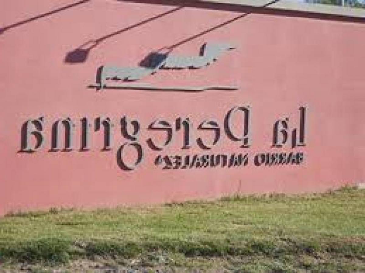 Terrain à Neuquen, Argentina No. 45921